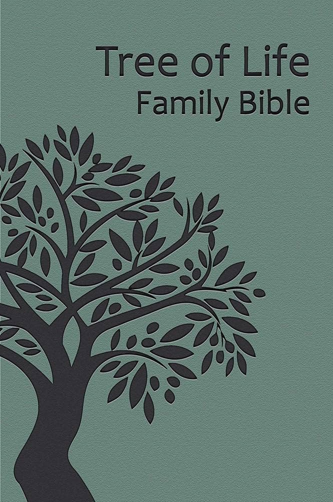 米２LP　THE BIBLE FAMILY OF LOVE　ウ Family Of Love : Bible -- A Rock Testament (LP, Vinyl record